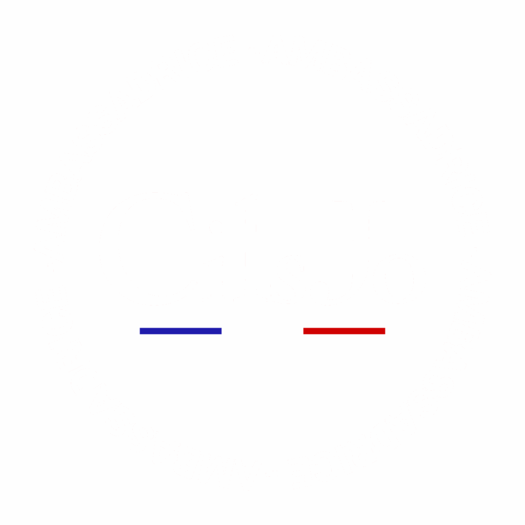 logo ambassadrice cilsjo
